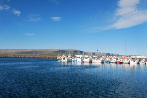 Gedränge im Hafen von Patreksfjördur