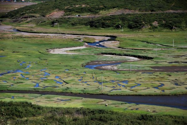 Fjorddelta