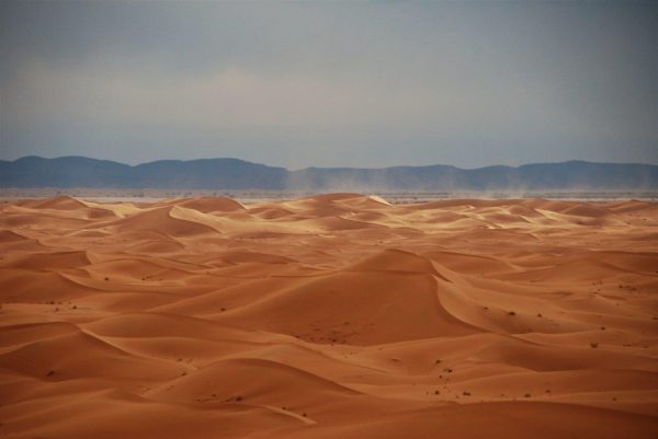 Desert-TV & The Sound Of Silence