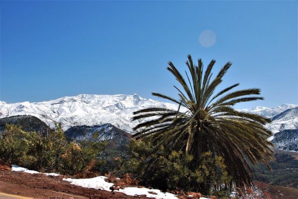 Chaos, Schnee, Gelassenheit - von Marrakesch nach Ouarzazate