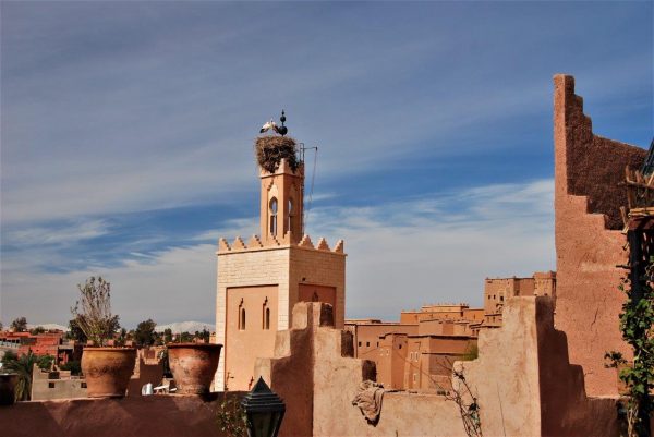 Störche statt Muezin, von der Dachterrasse des Riad  Rose Noire